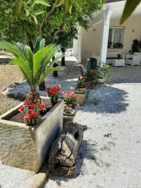 Tenuta Pizzi San Pietro Vernotico